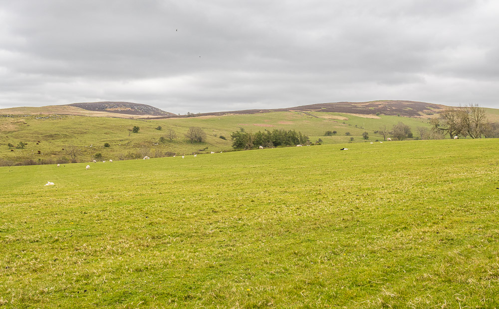 Garleigh Moor Garleigh Moor